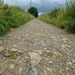 2012-07-21 Binche 038