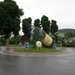 DSCN6485