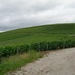 DSCN6529