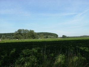 Zelzate juli 2012 006