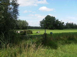 Zelzate juli 2012 025