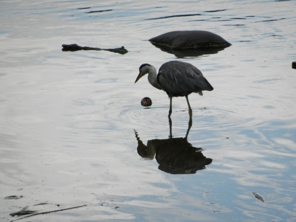 20120720.Gent 009