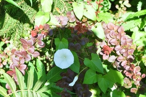 019