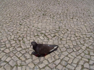 20120614.(02) Sintra 046 (Medium)