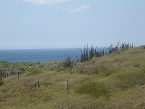 curacao 2006 062