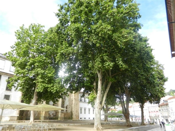 20120616.(1)Alcobaça 012 (Medium)