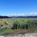 20120616.(4)naar Obidos 004 (Medium)