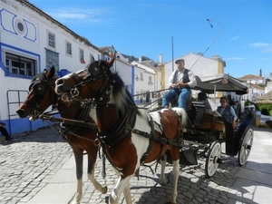 20120616.(4)naar Obidos 011 (Medium)