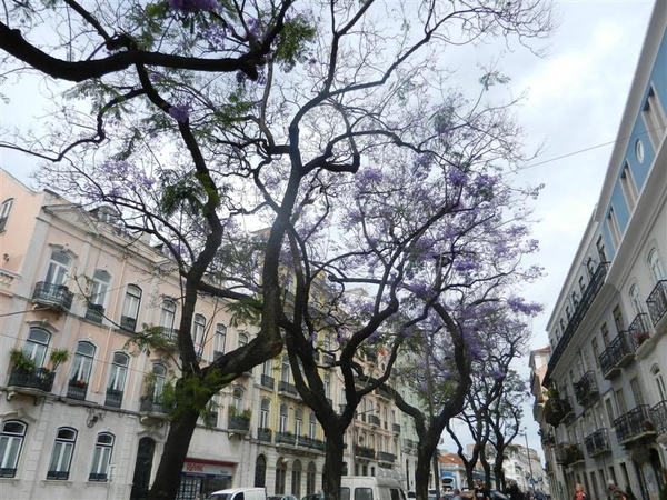 20120618.Lissabon 009 (Medium)