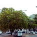 20120618.Lissabon 091(verb) (Medium)