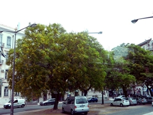 20120618.Lissabon 091(verb) (Medium)