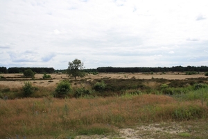 De Hoge Veluwe