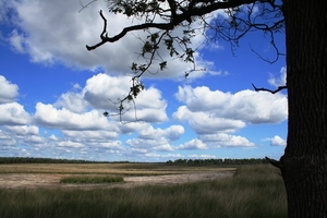 De Hoge Veluwe !