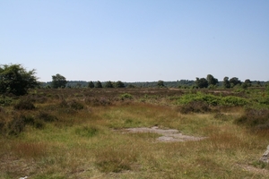 De Hoge Veluwe !