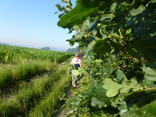 2012-07-25 Kluisbergen 006