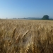 2012-07-25 Kluisbergen 007