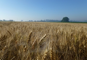 2012-07-25 Kluisbergen 007