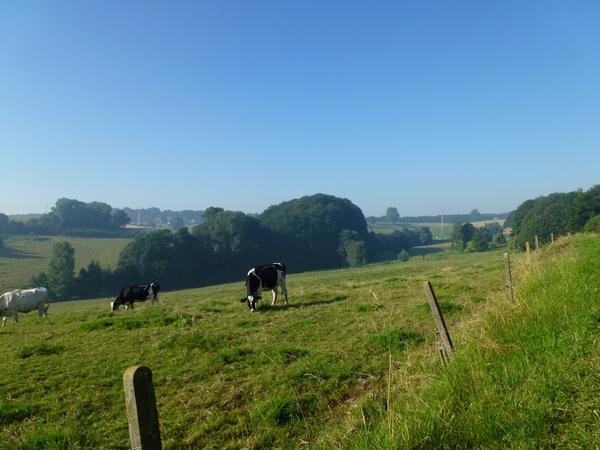 2012-07-25 Kluisbergen 013