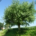 2012-07-25 Kluisbergen 026