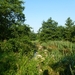 2012-07-27 Melsen 007