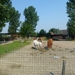 2012-07-27 Melsen 023
