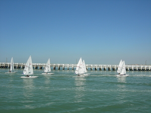 DSCN8004