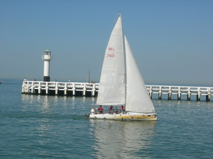 DSCN8011