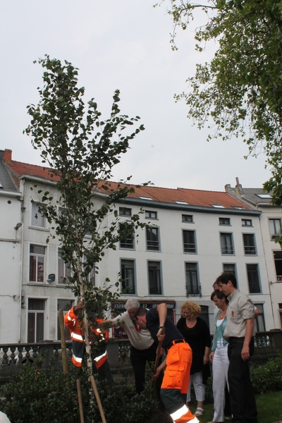 Persvoorstelling Meyboom 2012 031