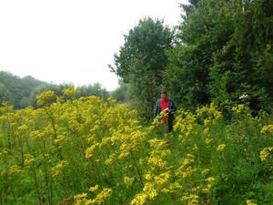 2012-07-28 Verkenning Abdijtocht 012