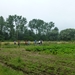 2012-07-28 Verkenning Abdijtocht 025
