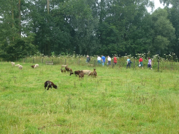 2012-07-28 Verkenning Abdijtocht 027