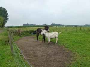 2012-07-28 Verkenning Abdijtocht 033