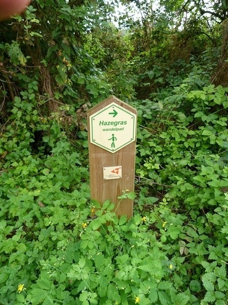 009-Langs oude Hazegraspolder