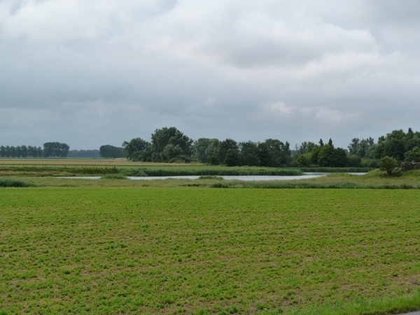 030-Nieuwe Hazegraspolder