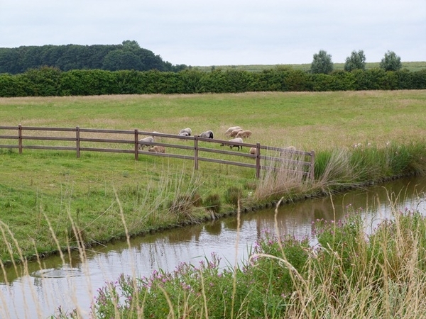 059-Het Zeeuwse landschap