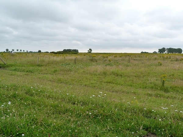 066-Willem-Leopoldpolder