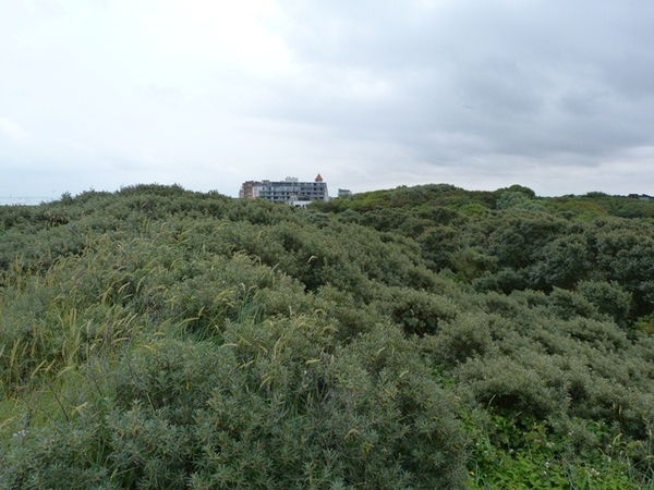 091-Cadzand