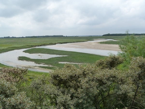 115-De Zwingeul bij laag water