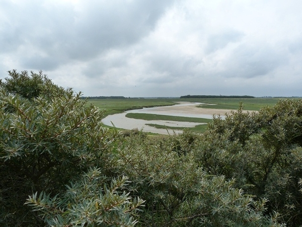 116-De Zwingeul bij laag water