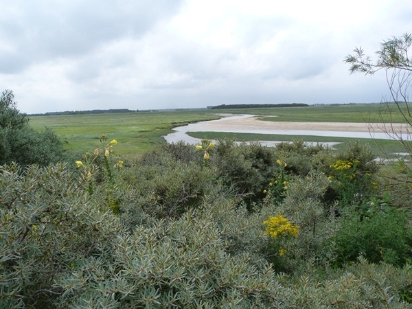 117-De Zwingeul bij laag water