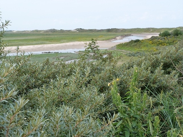 120-De Zwingeul bij laag water