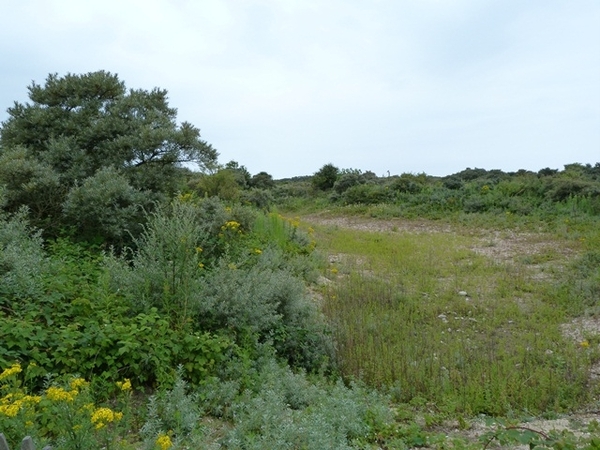 147-Zwinduinen en polders-Knokke