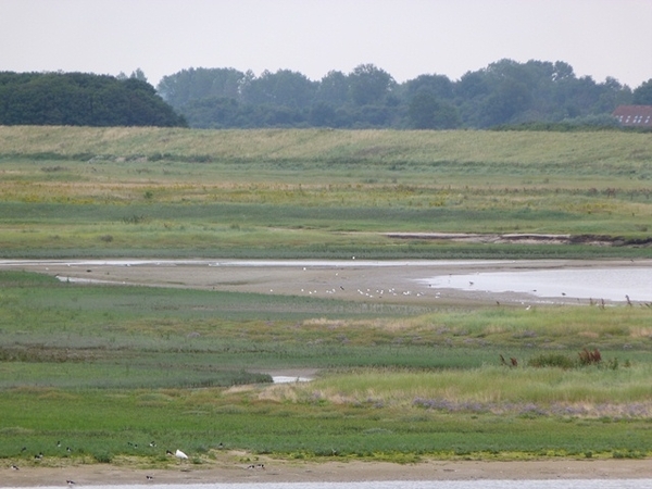 159-Zwingebied in Knokke