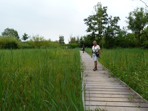 186-Natuurreservaat-De Zwinduinen en polders