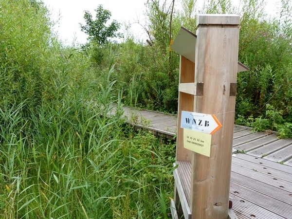 188-Laatste km.. langs Zwinduinen en polders