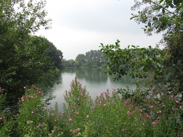 Midden in de natuur