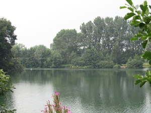 De natuur in Destelbergen