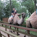 Weer terug