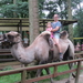 Op weg