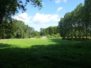 2012-07-29 Everbeek 028